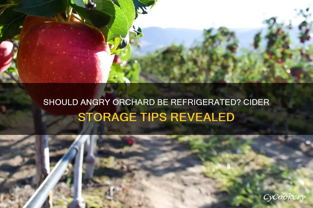 do you have to refrigerate angry orchard