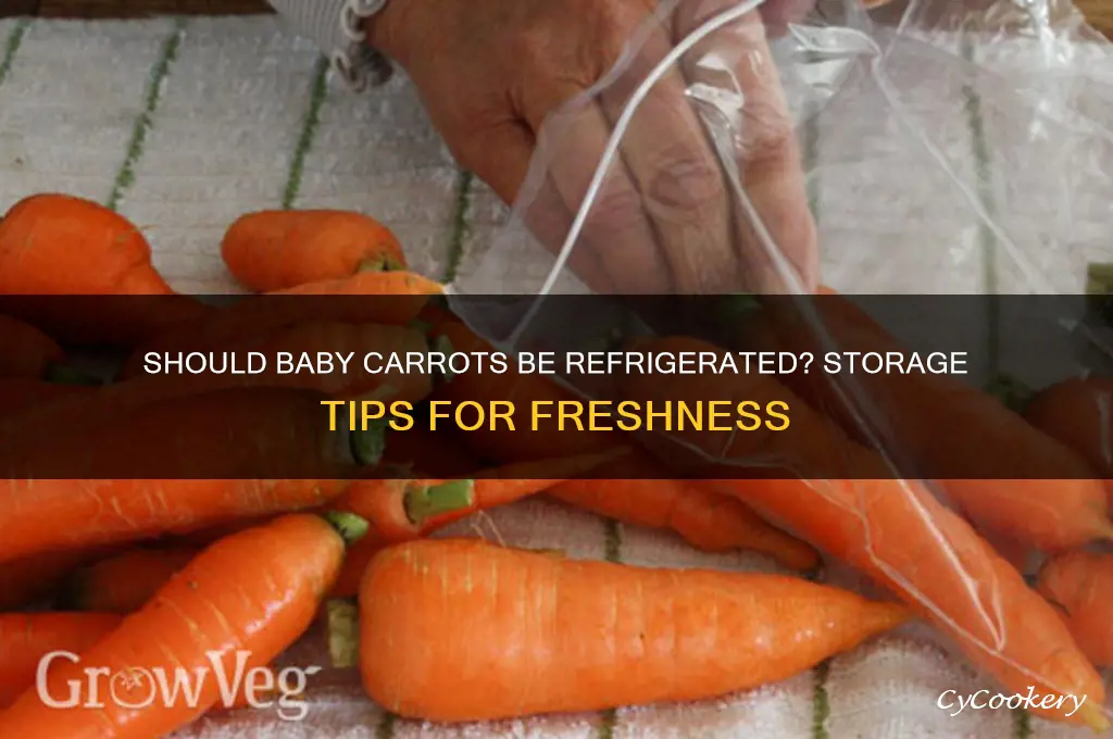 do you have to refrigerate baby carrots