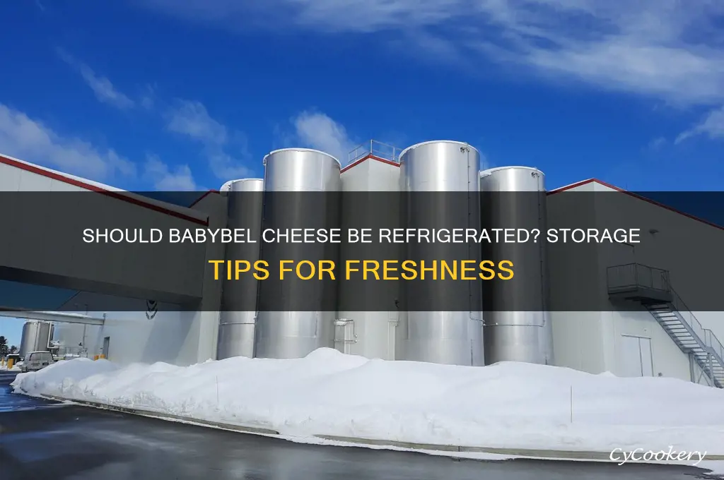 do you have to refrigerate babybel cheese
