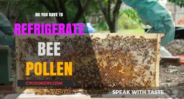 Should Bee Pollen Be Refrigerated? Storage Tips for Freshness