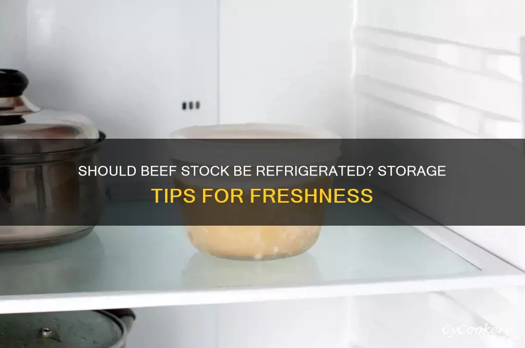 do you have to refrigerate beef stock
