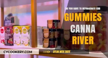 Should You Refrigerate CBD Gummies from Canna River? Tips Inside