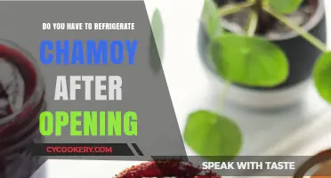 Should Chamoy Be Refrigerated After Opening? Storage Tips Revealed