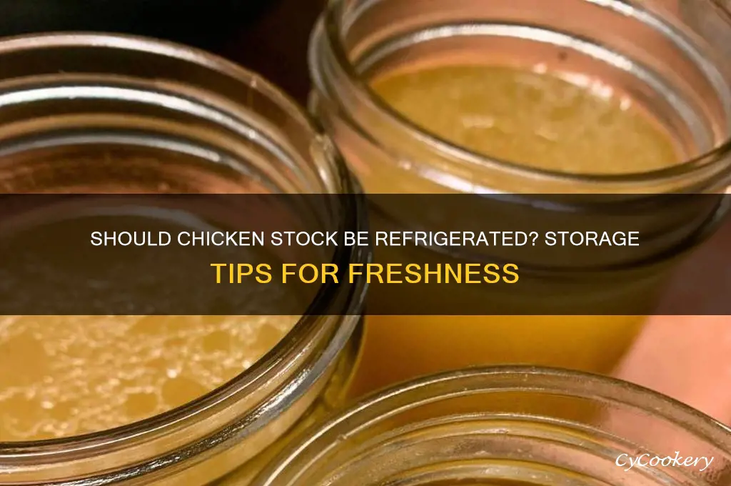 do you have to refrigerate chicken stock