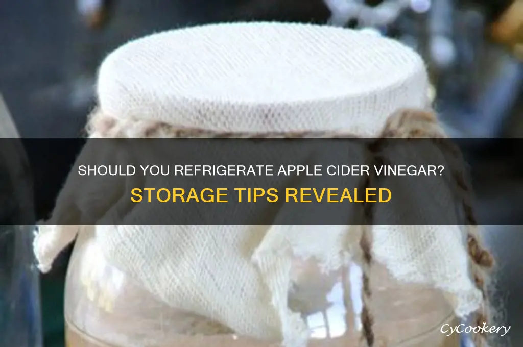 do you have to refrigerate cider vinegar