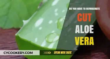 Should Cut Aloe Vera Be Refrigerated? Storage Tips for Freshness