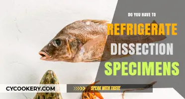 Refrigerating Dissection Specimens: Essential Preservation Tips for Lab Success