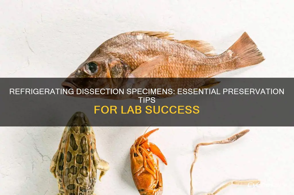 do you have to refrigerate dissection specimens