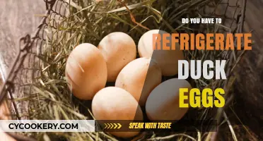 Should Duck Eggs Be Refrigerated? Storage Tips for Freshness