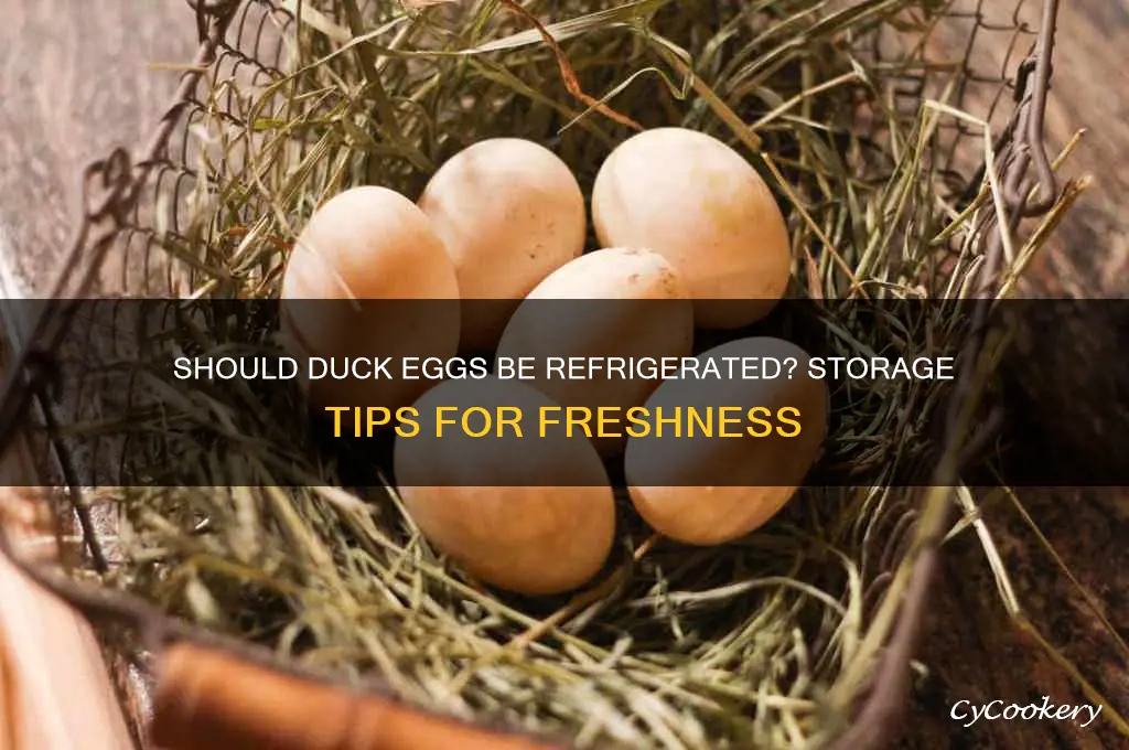 do you have to refrigerate duck eggs