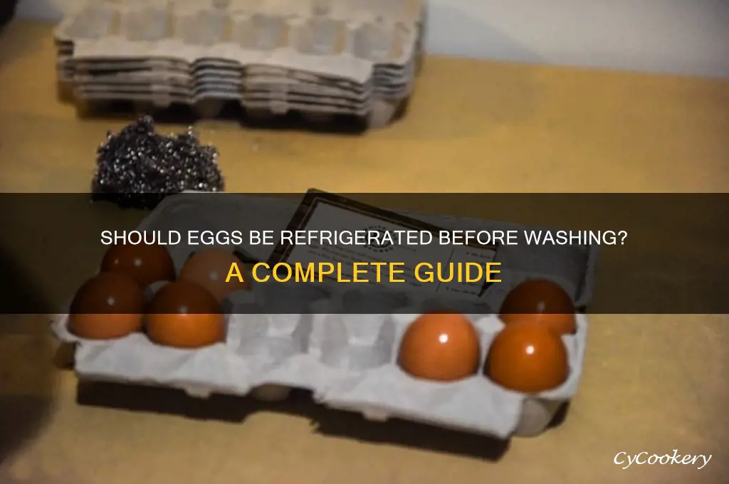 do you have to refrigerate eggs before washing
