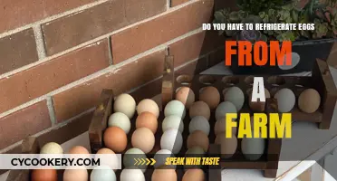 Farm-Fresh Eggs: To Refrigerate or Not? A Storage Guide