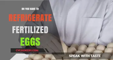 Should Fertilized Eggs Be Refrigerated? Essential Storage Tips for Hatching Success