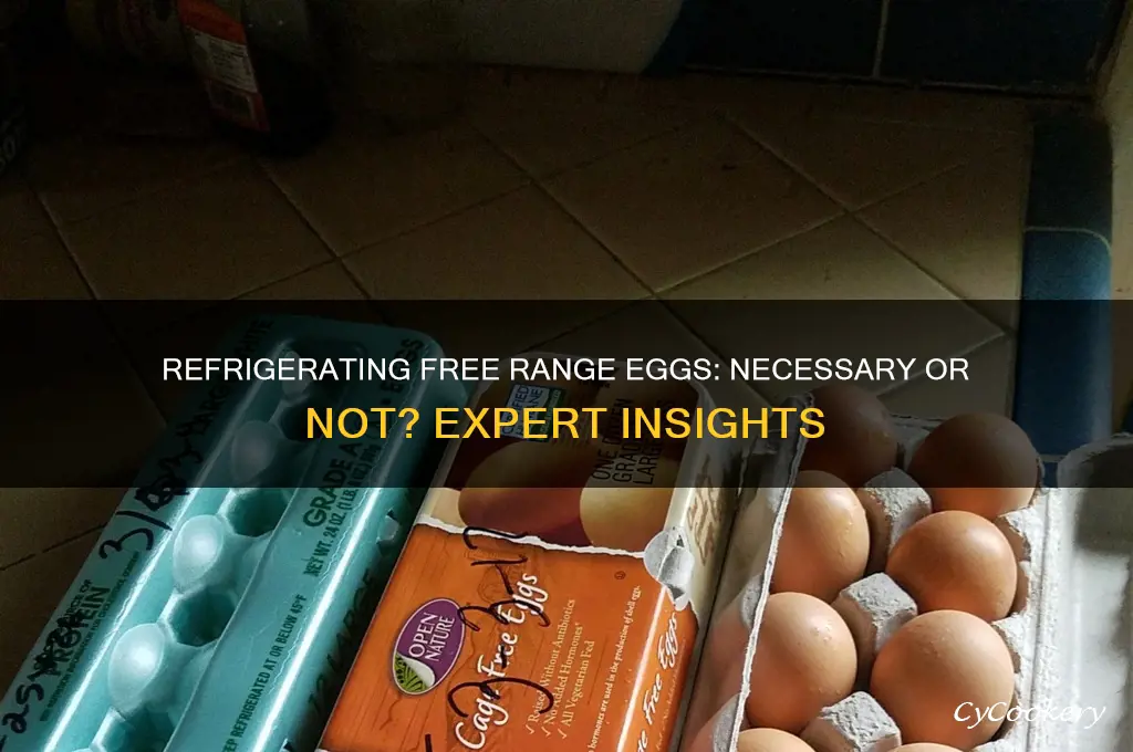 do you have to refrigerate free range eggs