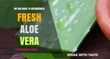 Should Fresh Aloe Vera Be Refrigerated? Storage Tips Revealed