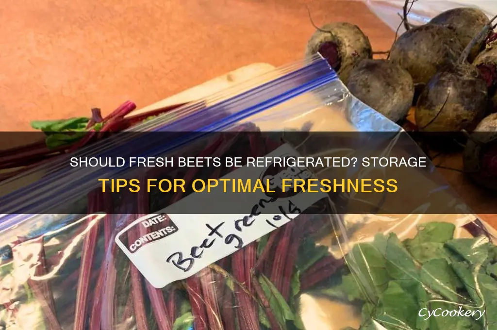 do you have to refrigerate fresh beets