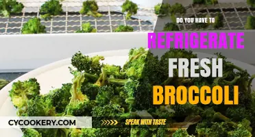 Should Fresh Broccoli Be Refrigerated? Storage Tips for Longer Freshness