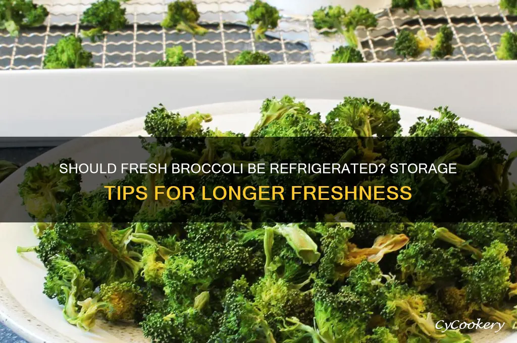 do you have to refrigerate fresh broccoli