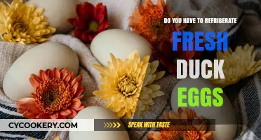 Should Fresh Duck Eggs Be Refrigerated? Storage Tips Revealed