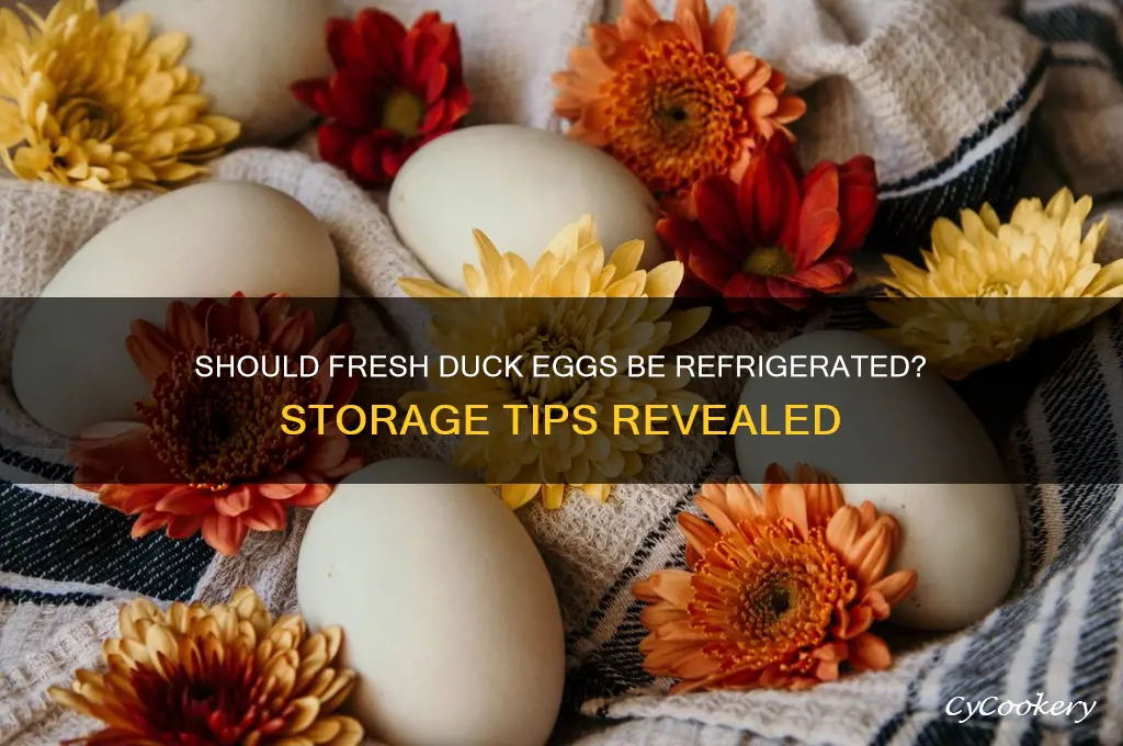 do you have to refrigerate fresh duck eggs