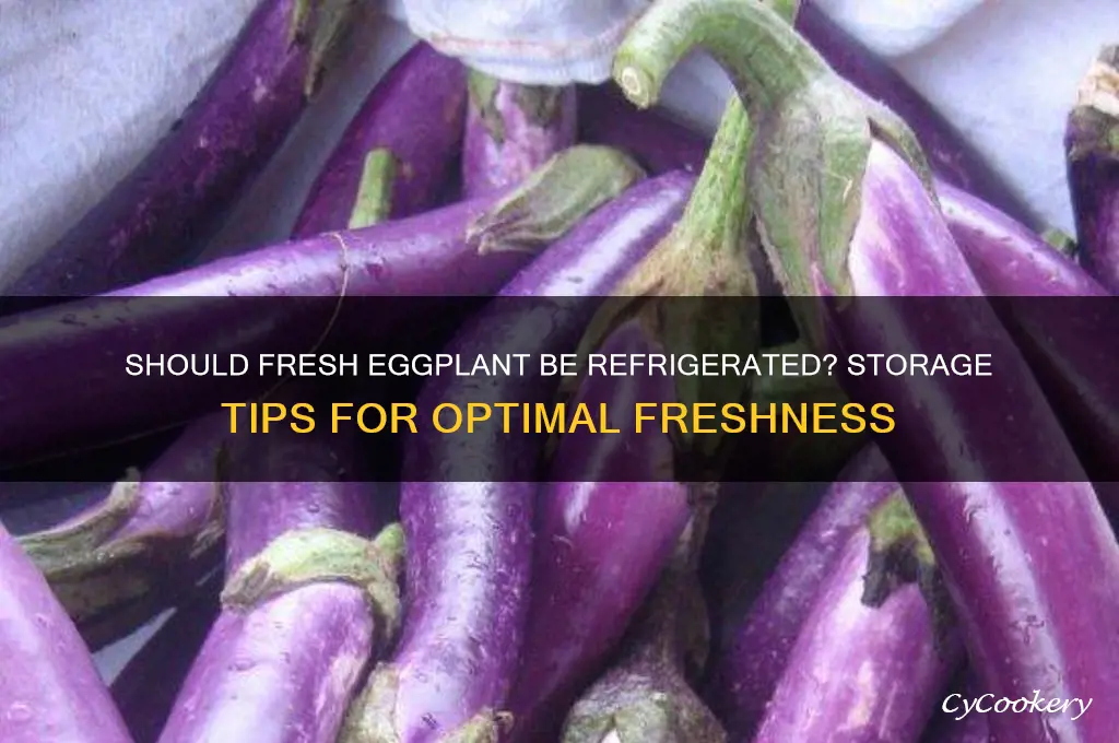 do you have to refrigerate fresh eggplant