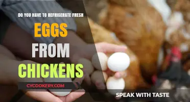 Should Fresh Chicken Eggs Be Refrigerated? A Storage Guide