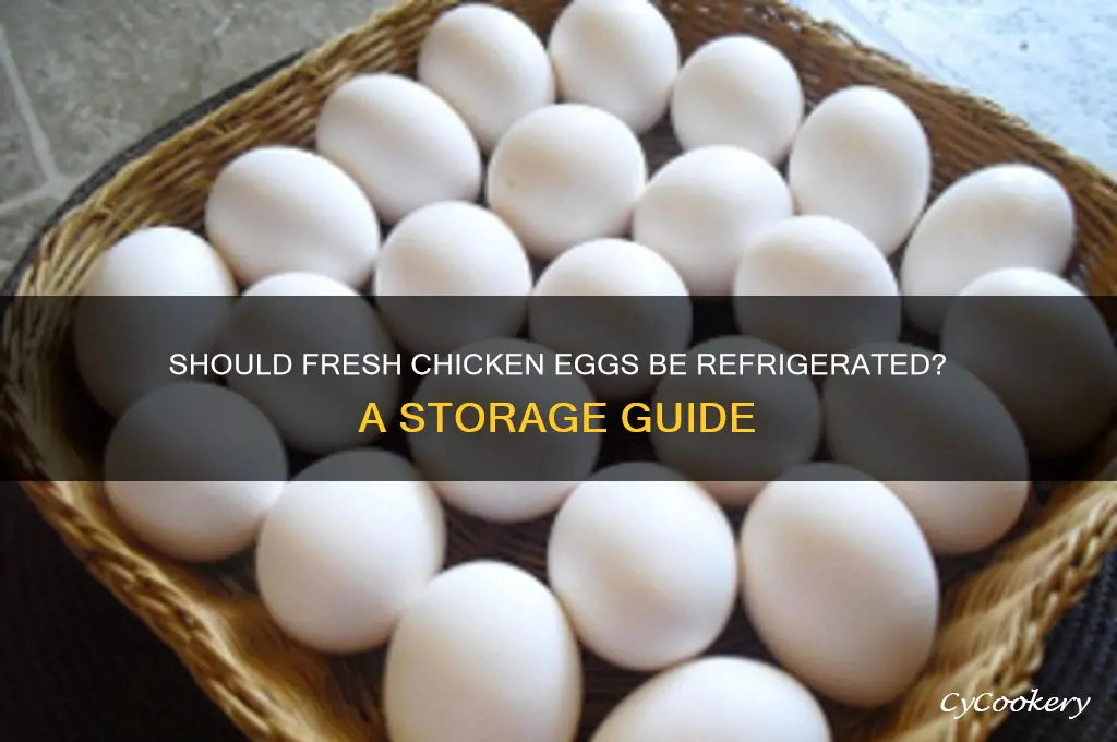 do you have to refrigerate fresh eggs from chickens