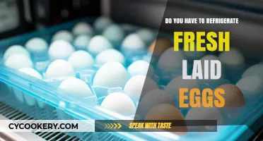Fresh Laid Eggs: To Refrigerate or Not?