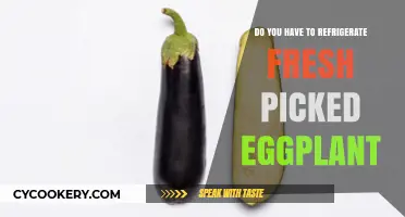 Should Freshly Picked Eggplant Be Refrigerated? Storage Tips Revealed