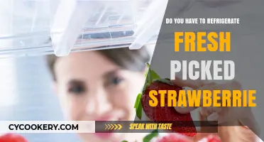 Should Fresh Picked Strawberries Be Refrigerated? Storage Tips Revealed