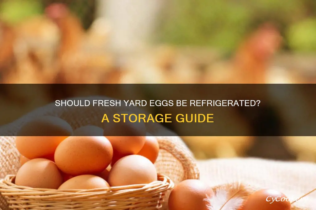 do you have to refrigerate fresh yard eggs
