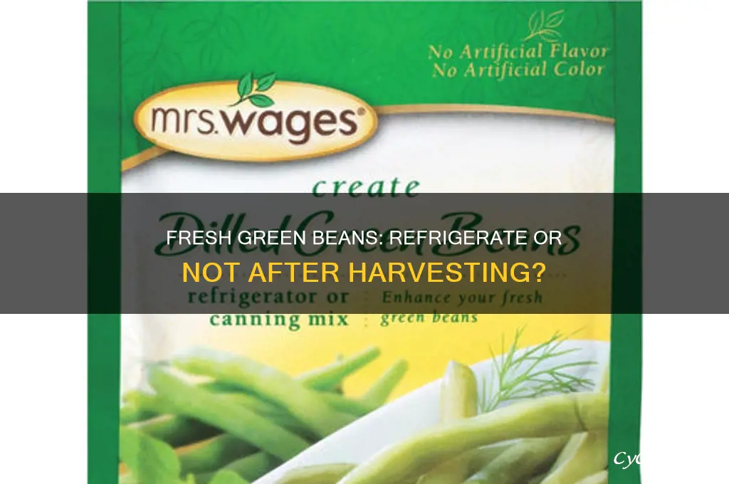 do you have to refrigerate green beans after picking