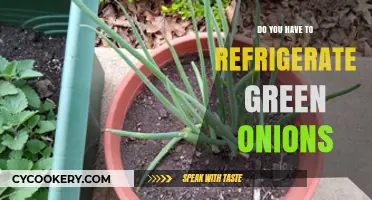Should Green Onions Be Refrigerated? Storage Tips for Freshness
