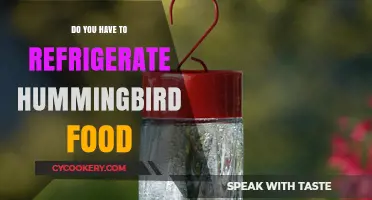 Should Hummingbird Food Be Refrigerated? Essential Tips for Nectar Care