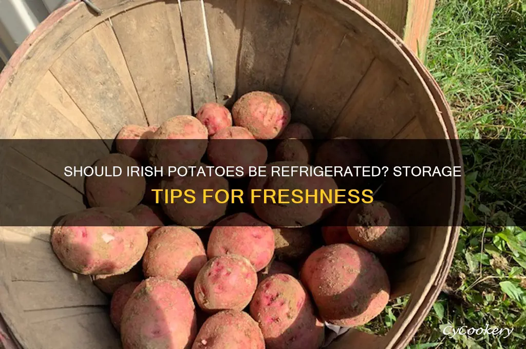 do you have to refrigerate irish potatoes