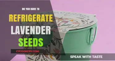 Should Lavender Seeds Be Refrigerated? Storage Tips for Optimal Germination