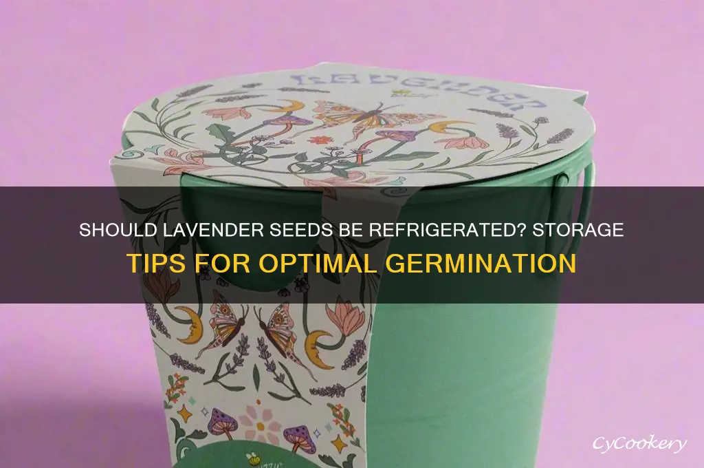 do you have to refrigerate lavender seeds