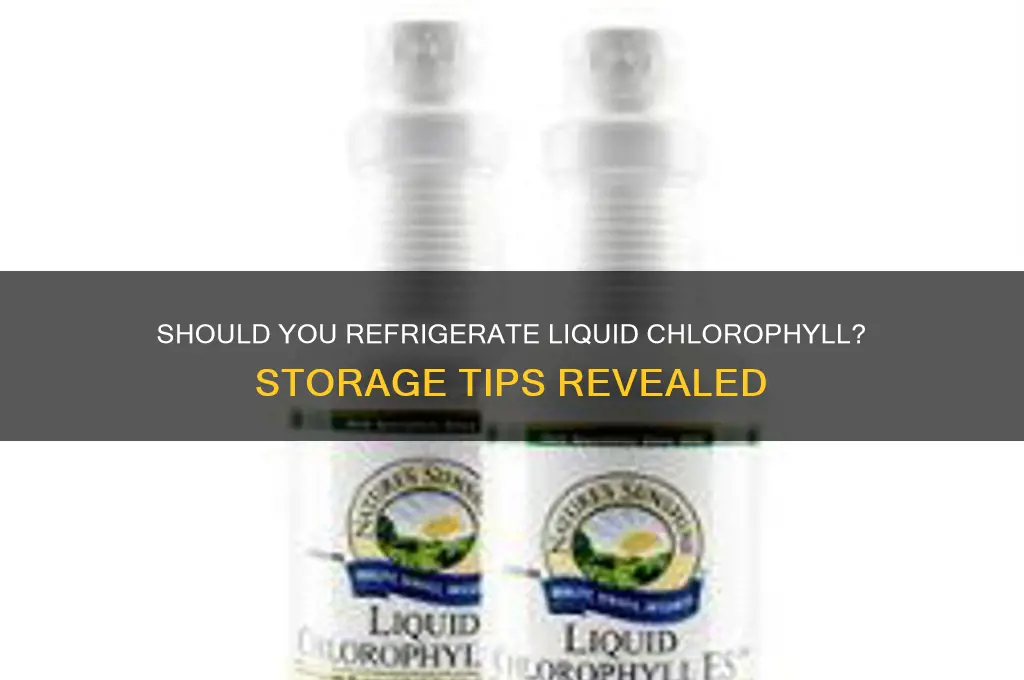 do you have to refrigerate liquid chlorophyll