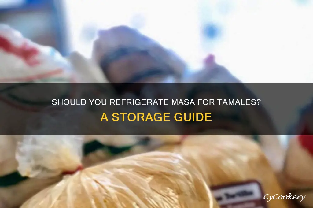 do you have to refrigerate masa for tamales