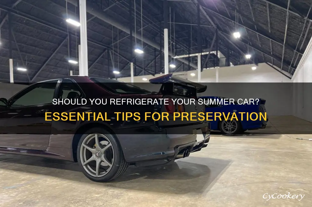 do you have to refrigerate my summer car