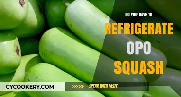 Should Opo Squash Be Refrigerated? Storage Tips for Freshness