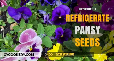 Should Pansy Seeds Be Refrigerated? Essential Storage Tips for Gardeners