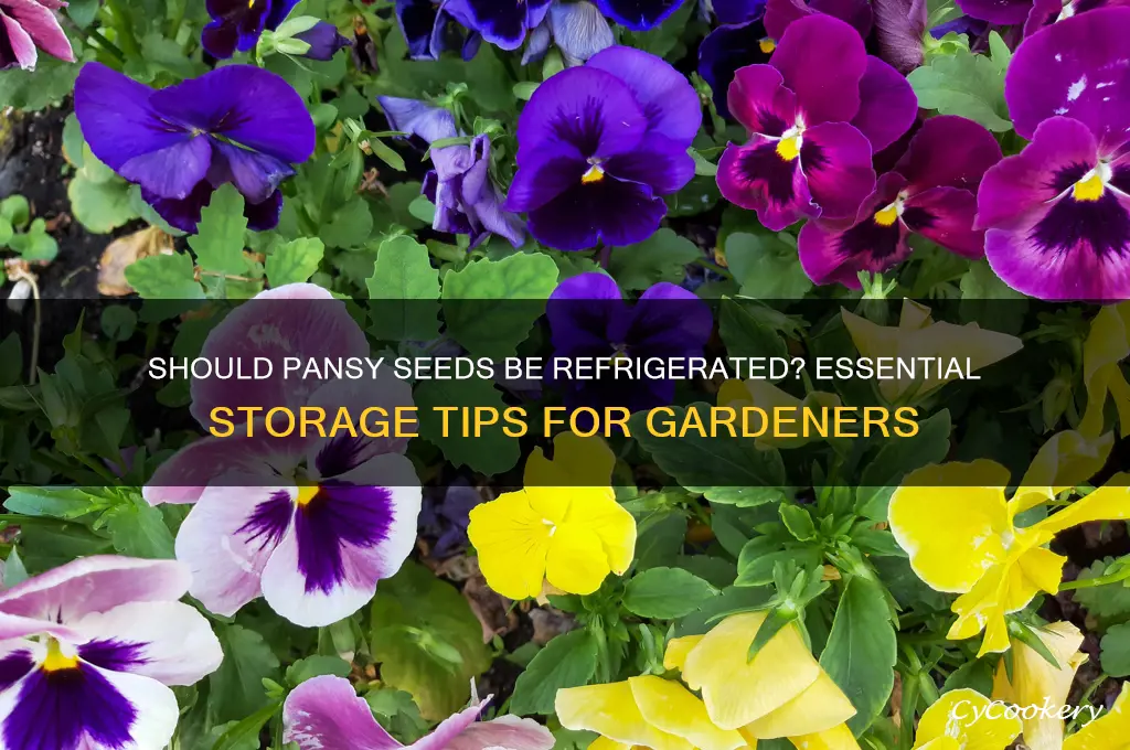 do you have to refrigerate pansy seeds