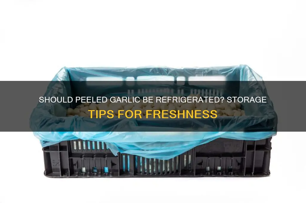 do you have to refrigerate peeled garlic