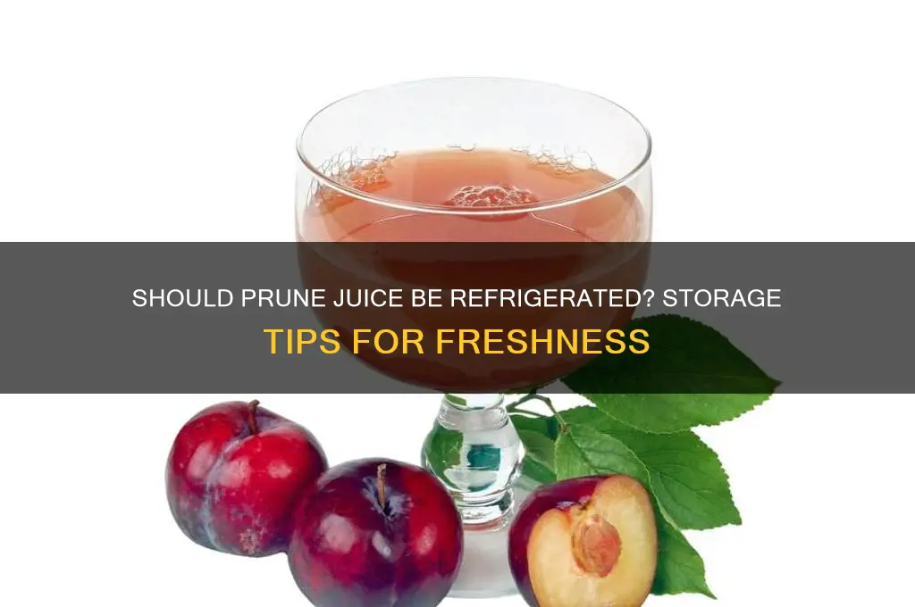do you have to refrigerate prune juice