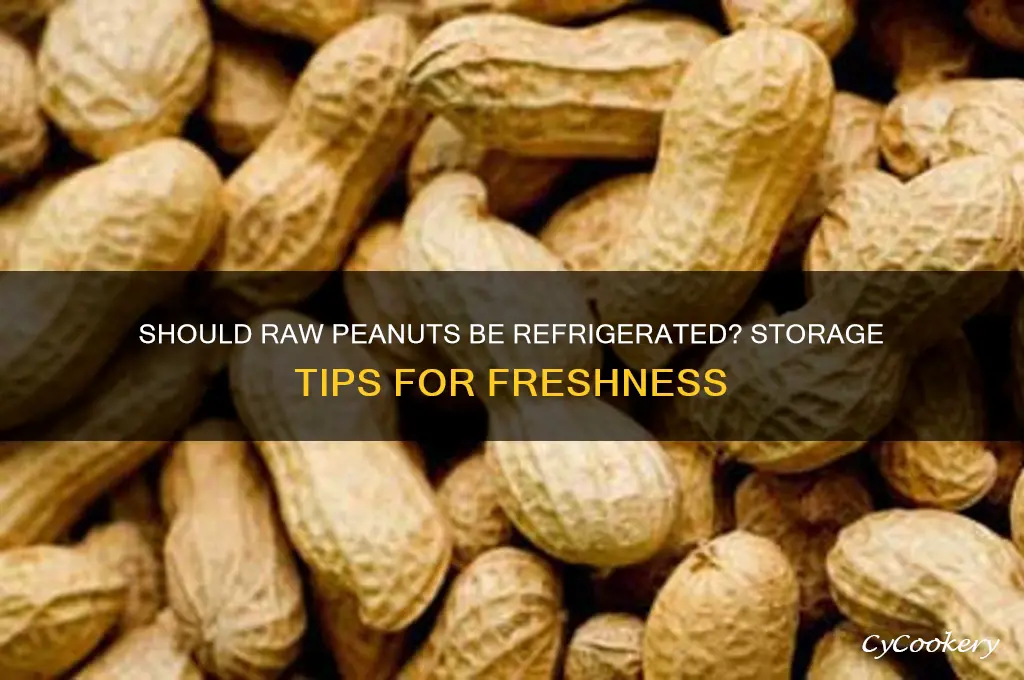 do you have to refrigerate raw peanuts