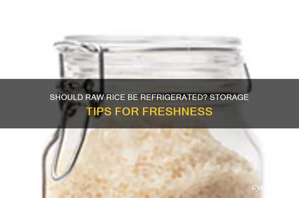 do you have to refrigerate raw rice