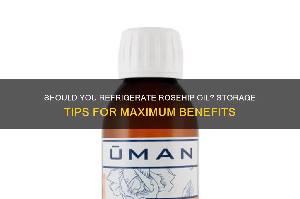 do you have to refrigerate rosehip oil