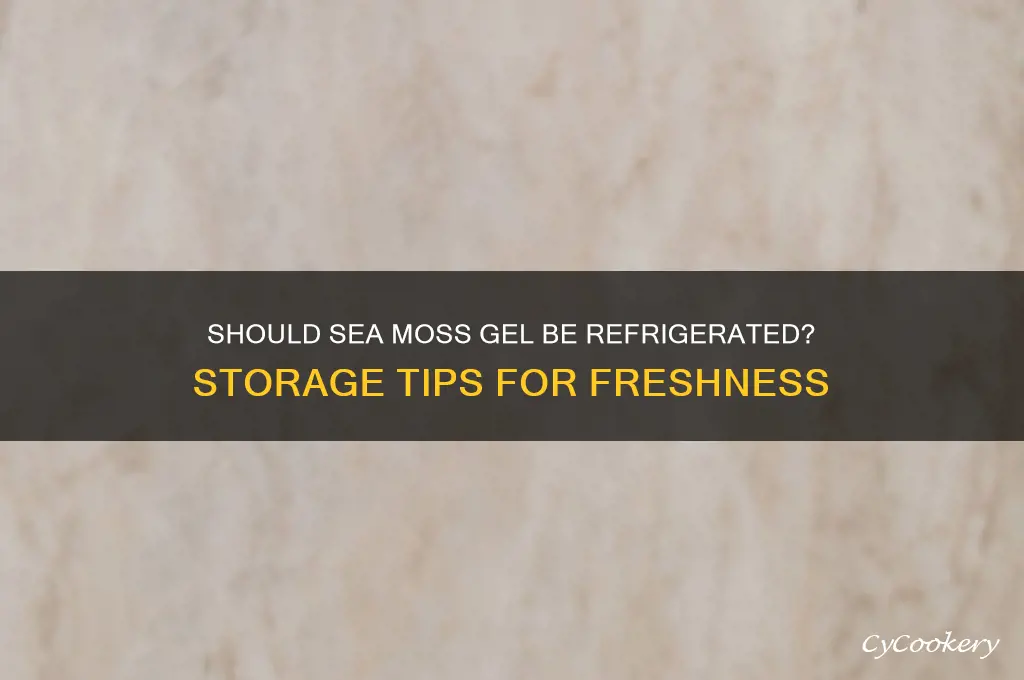 do you have to refrigerate sea moss gel