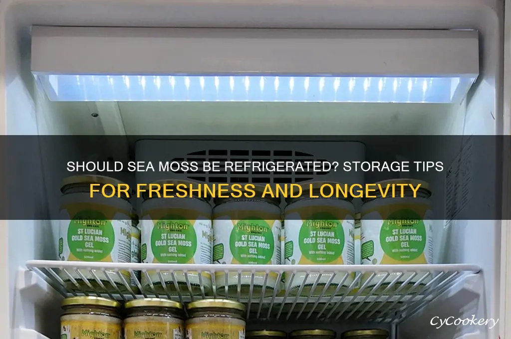 do you have to refrigerate sea moss